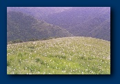 File written by Adobe Photoshop 4.0 