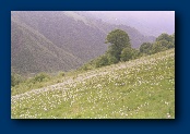 File written by Adobe Photoshop 4.0 