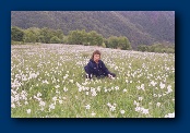File written by Adobe Photoshop 4.0 