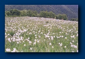 File written by Adobe Photoshop 4.0 