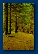 File written by Adobe Photoshop 5.0 
