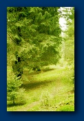 File written by Adobe Photoshop 5.0 